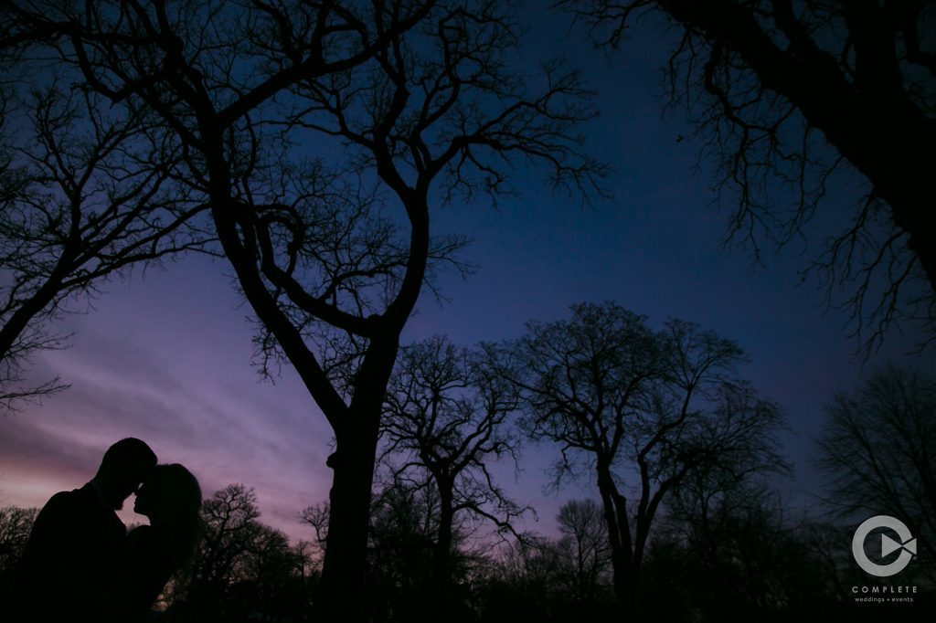 Black silhouette evening shot