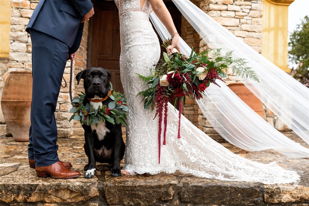 Dogs in Weddings Naomi + Kole wedding day