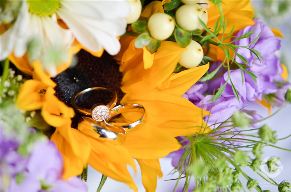 Ring Shot