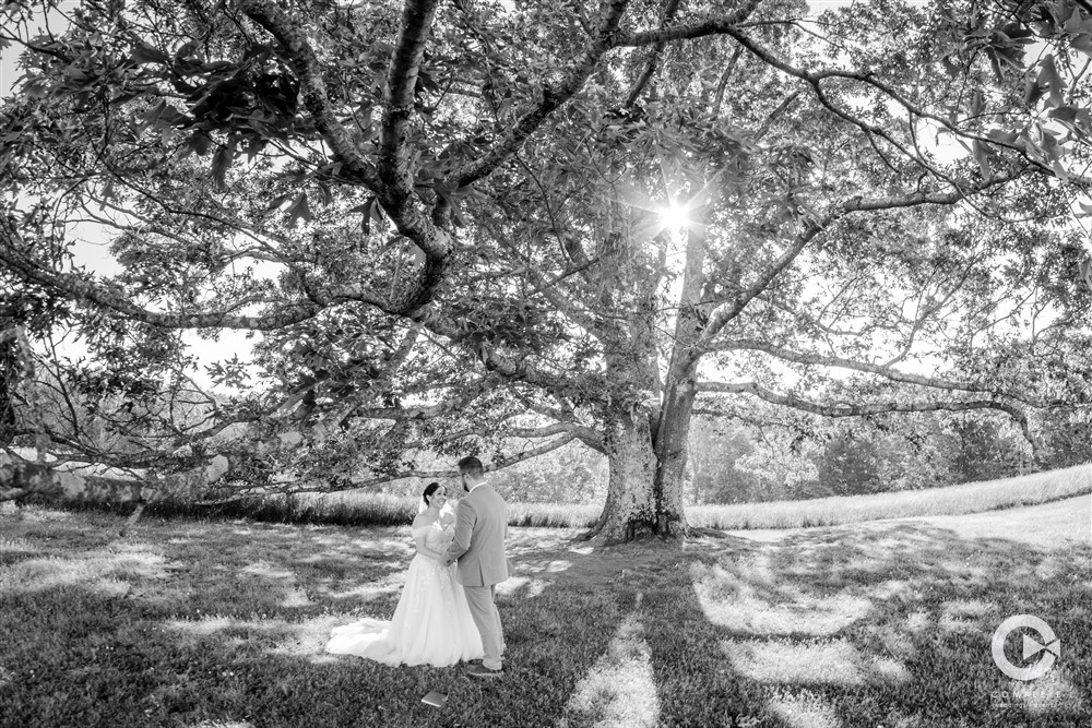 Wedding Videography in Cedar Rapids, Iowa: The Best Investment