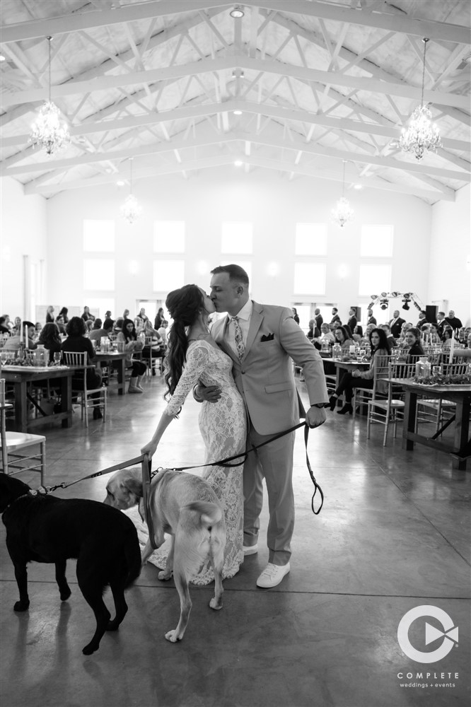 Bride & Groom with their Dogs, Morgan + Rowdy's Winter Wedding, The Barn at Fairview Acres, Complete Weddings + Events Photography