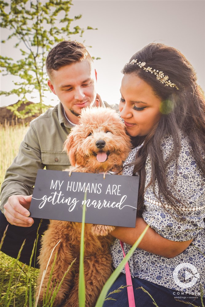 Our Humans are Getting Married