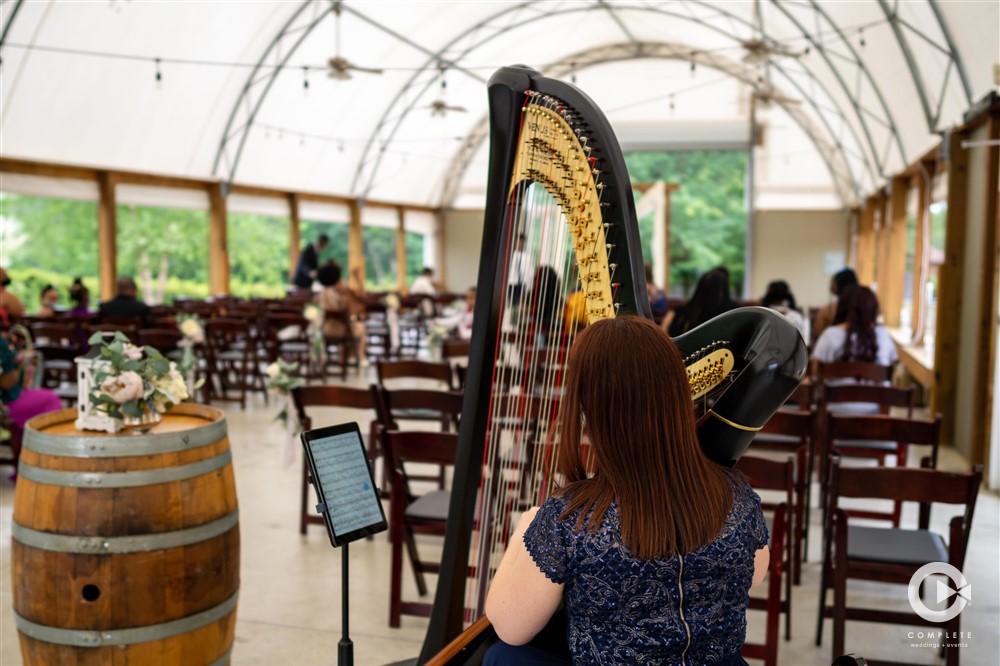 Harp at the Ceremony