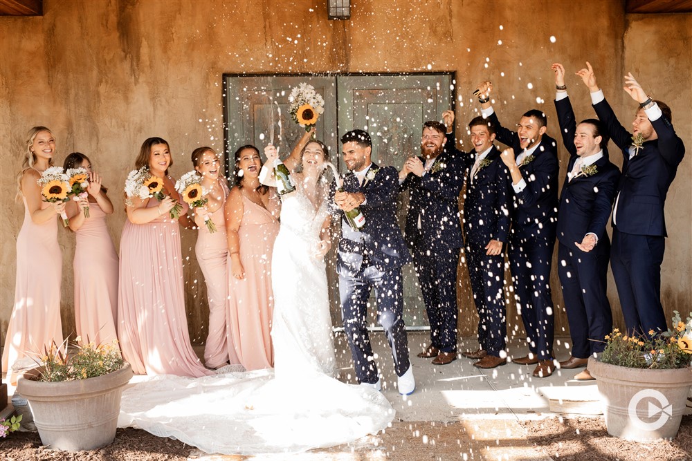 wedding party photos