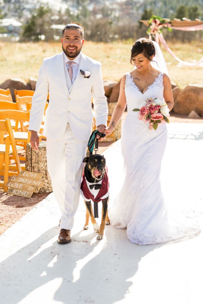 your pet in your wedding