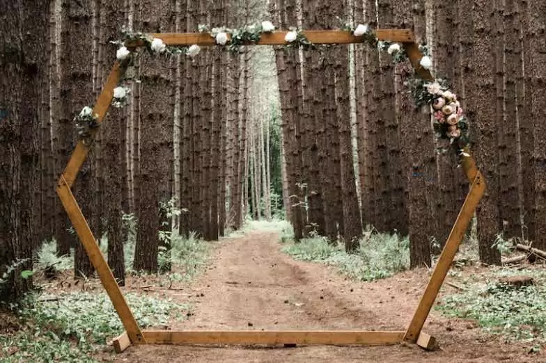 wedding arch in a forest