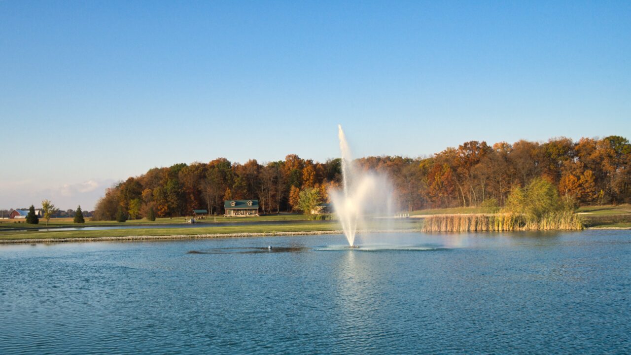 Best Months to Get Married in Cincinnati in the Fall