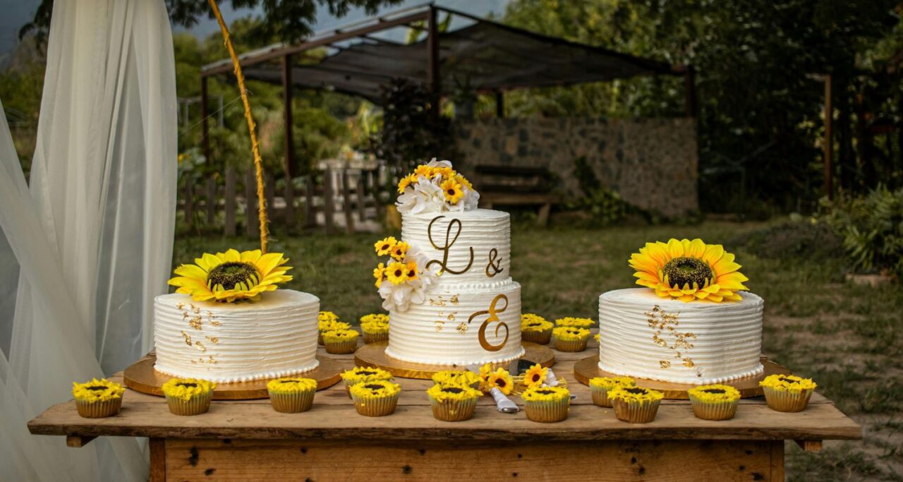 Best Summer Flowers in Colorado