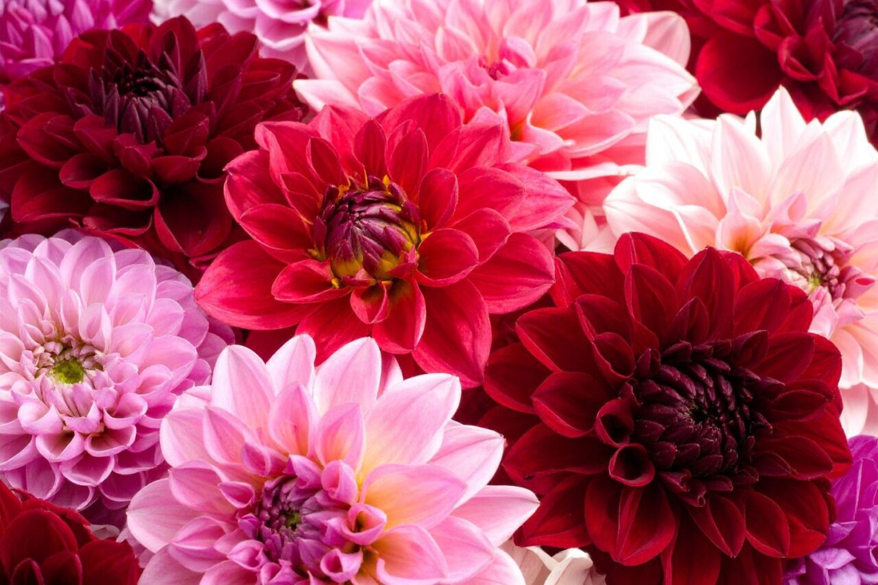 Winter Wedding Florals