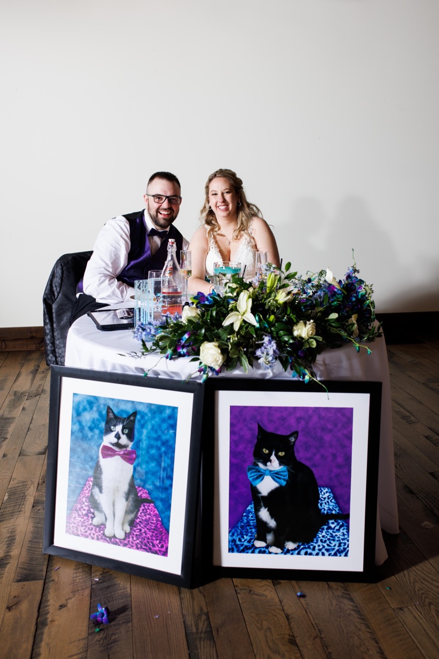 sweetheart table decor of cats