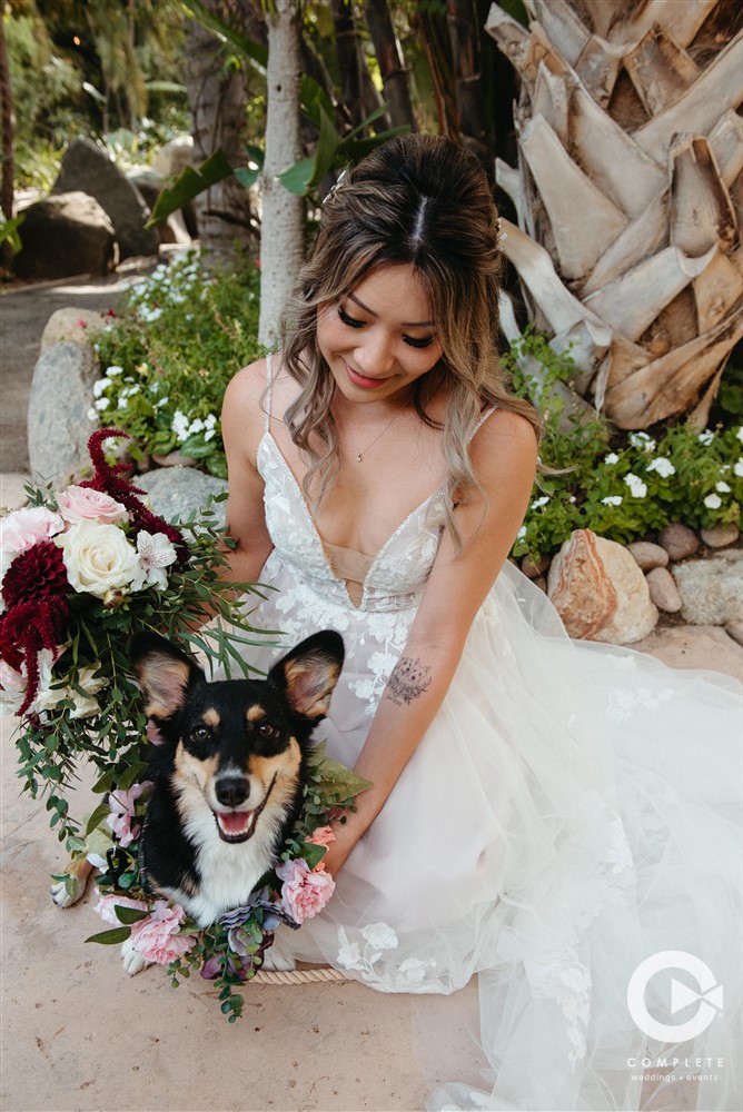 bride photo with pup