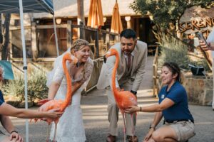 Wedding at the Dallas Zoo