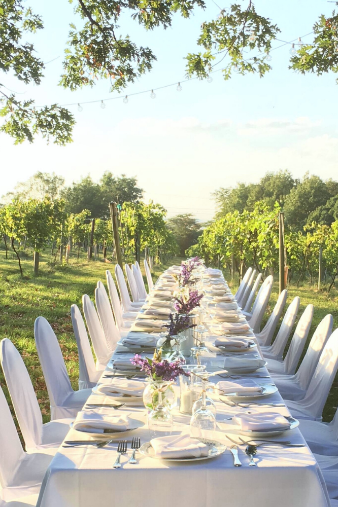 Summerset Winery dinner