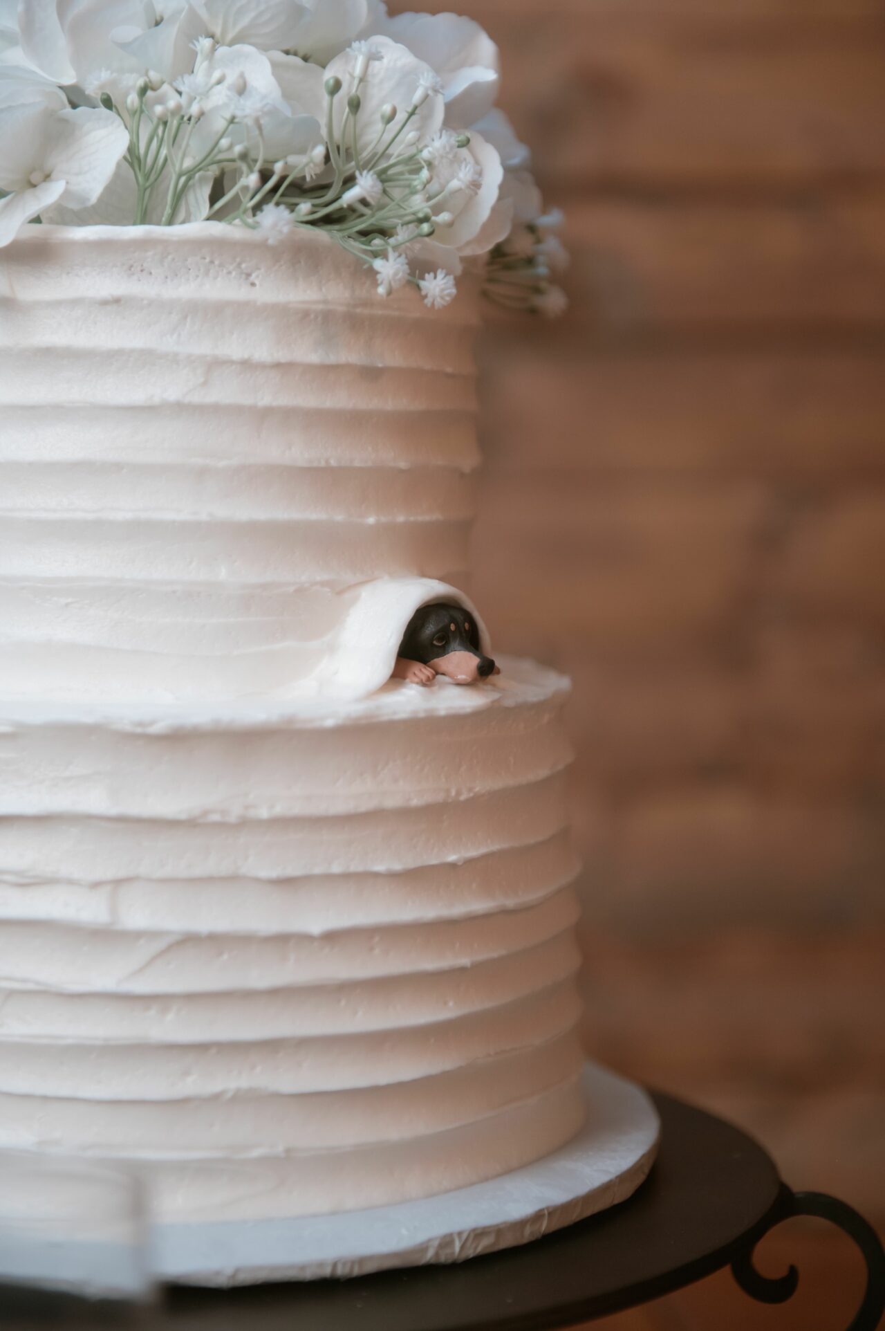 dog on wedding cake