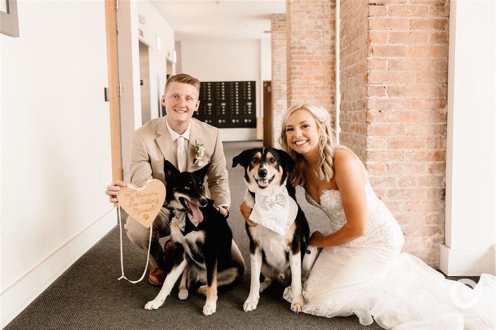 wedding photos with dogs