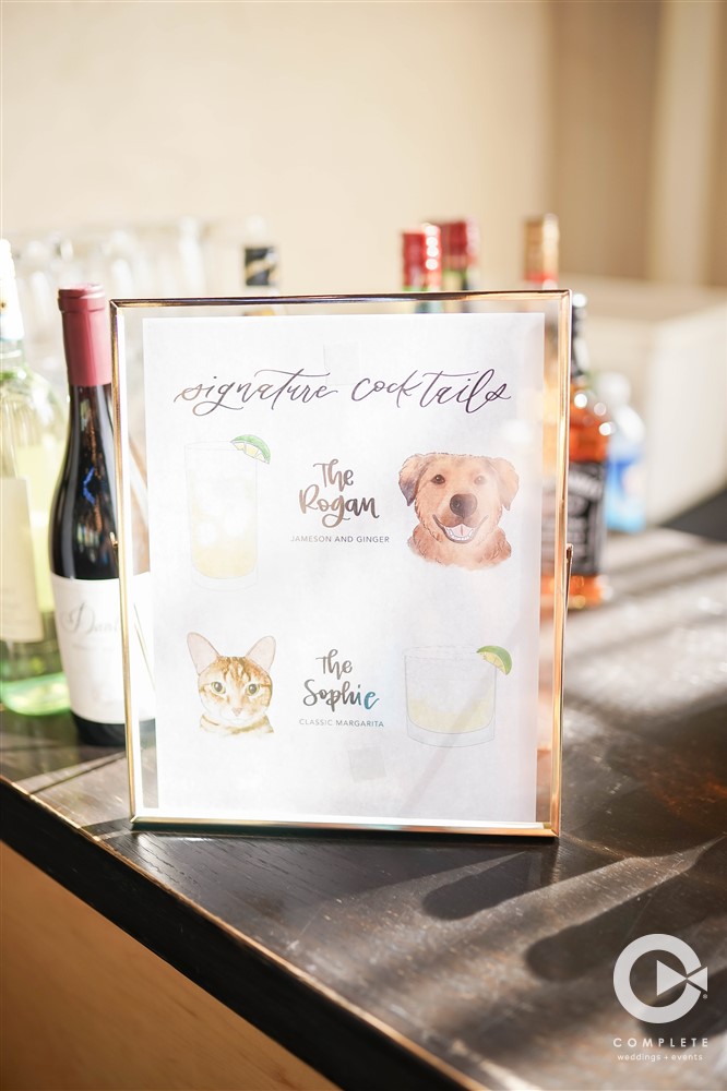 pets illustrations on cocktails