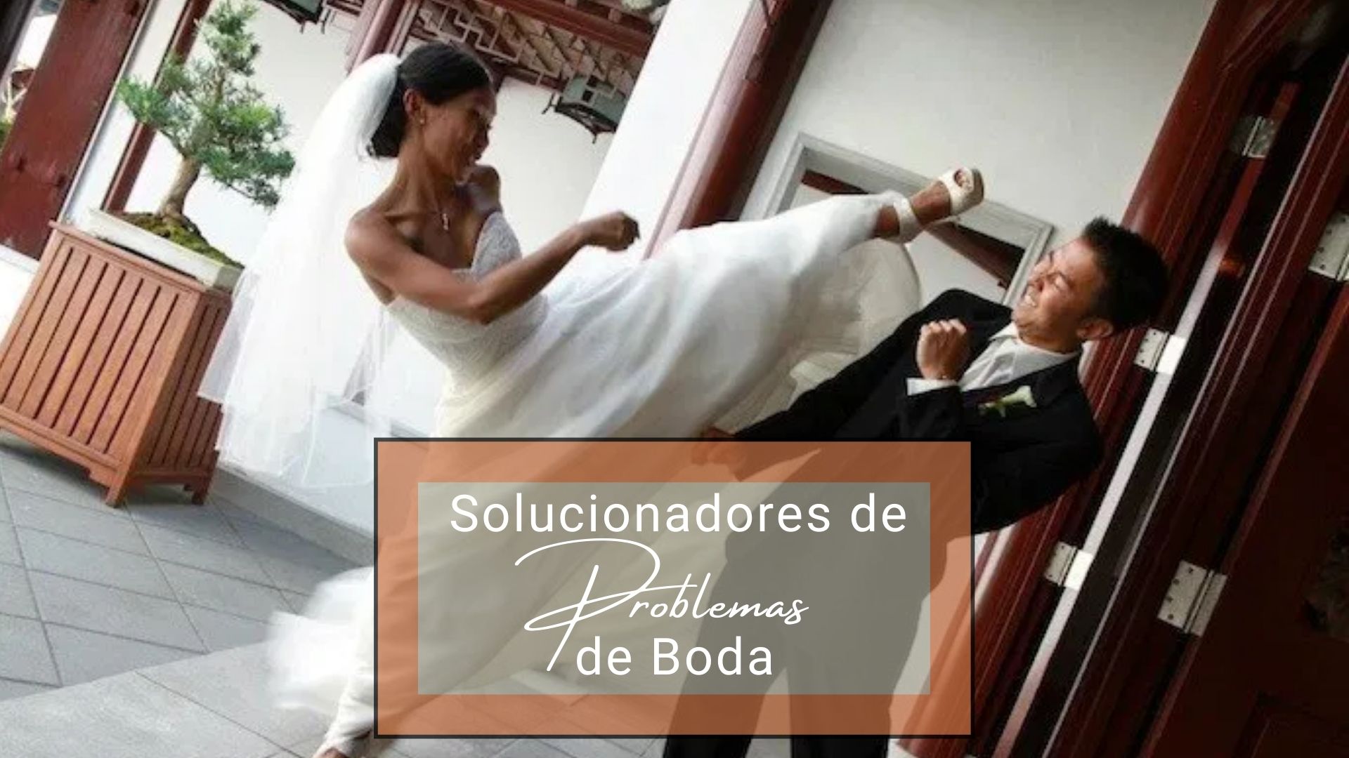 Solucionadores de Problemas de Boda