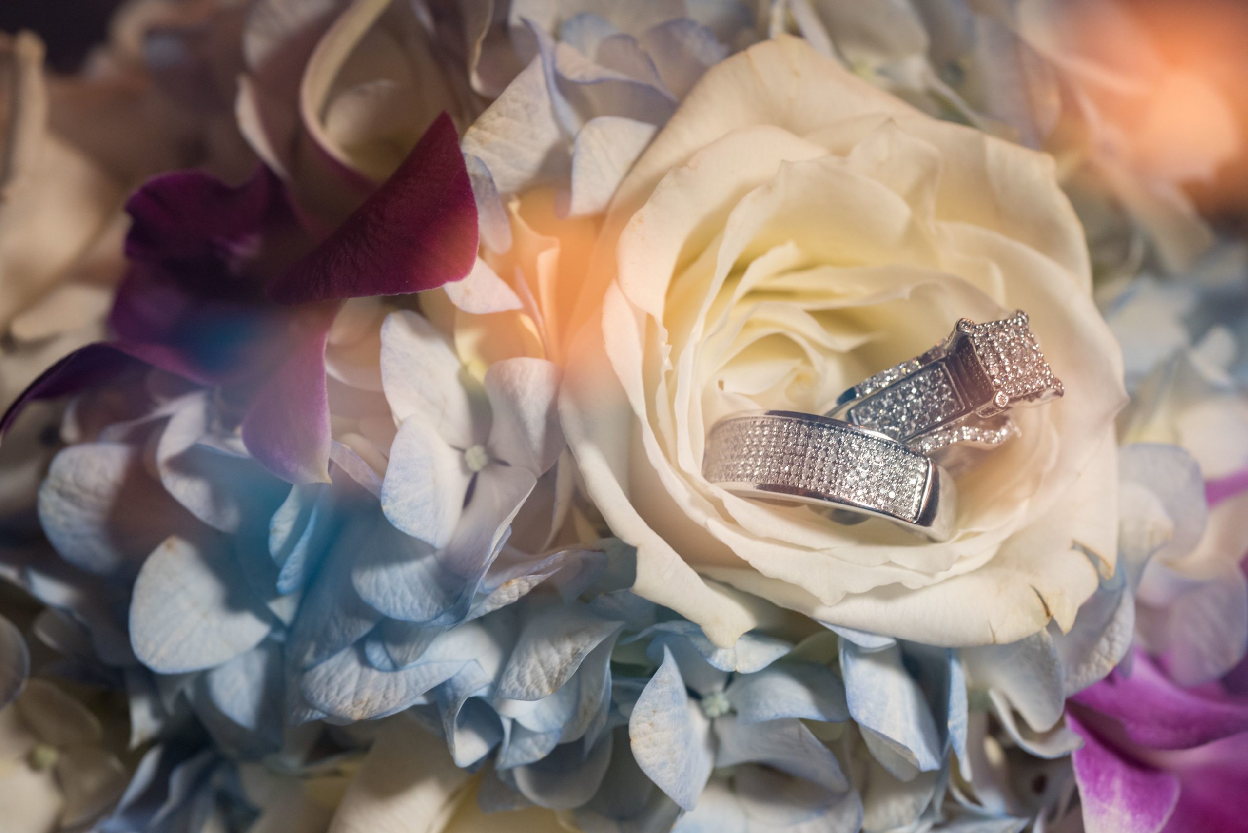 wedding rings in flower