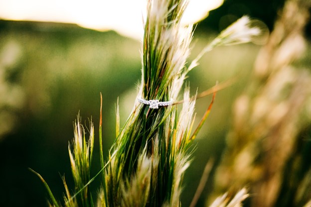 engagement ring posed in grass