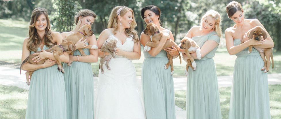 Bridesmaids with pets