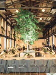 Wedding tree up lighting