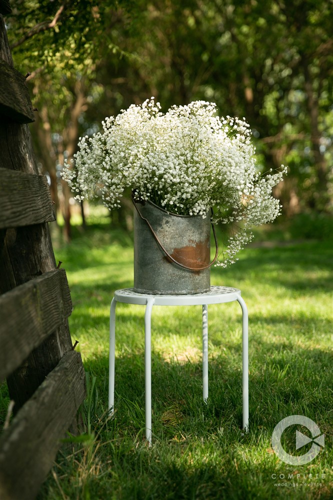 flower in pot for spring wedding