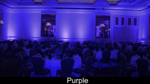 Purple up lights for wedding