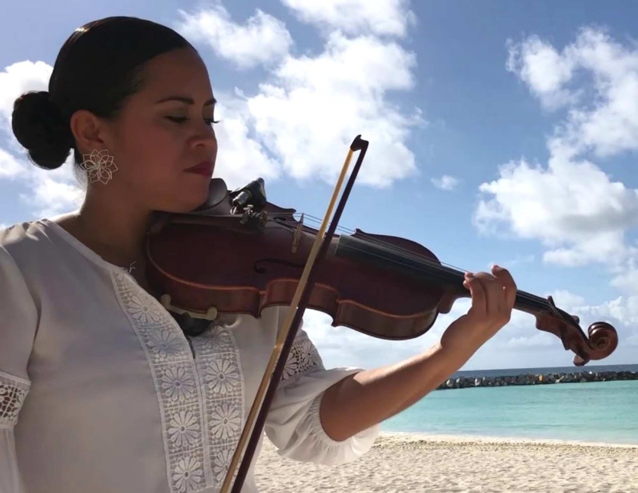 Wedding violin on the beach