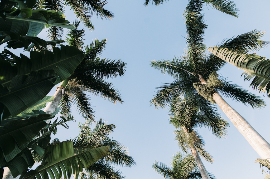 Haley and Nick's Grace River Island Resort Wedding | Fort Myers