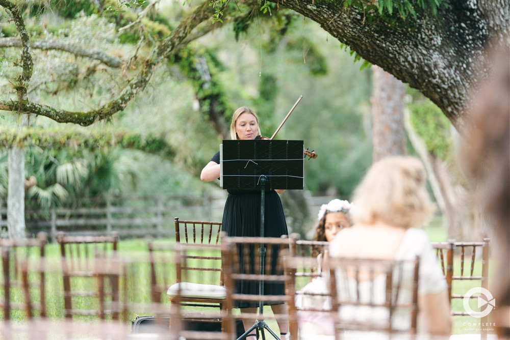 violinist at wedding