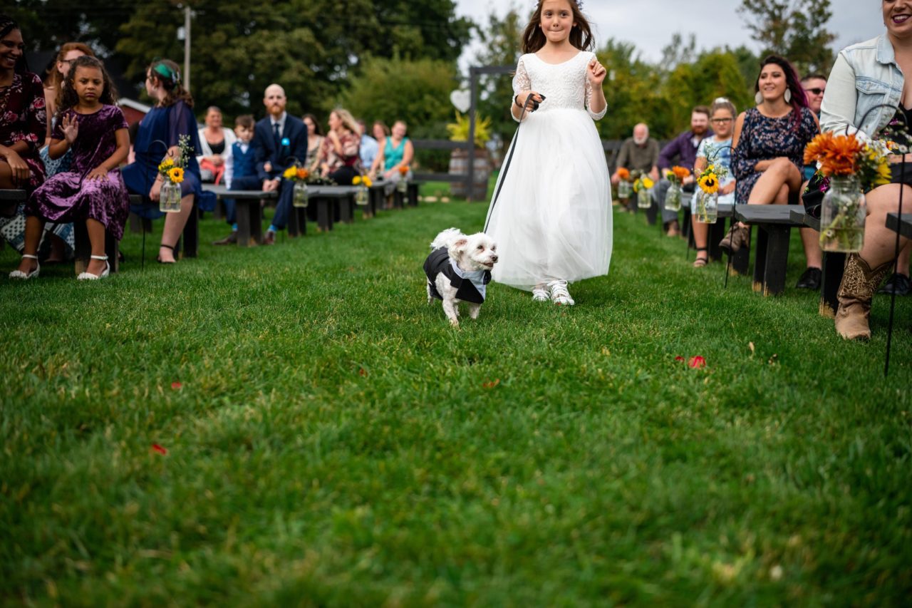 ways to include your pet in your wedding