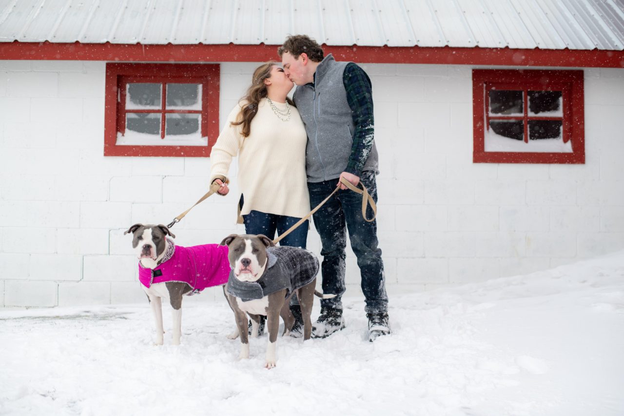 ways to include your pet in your wedding