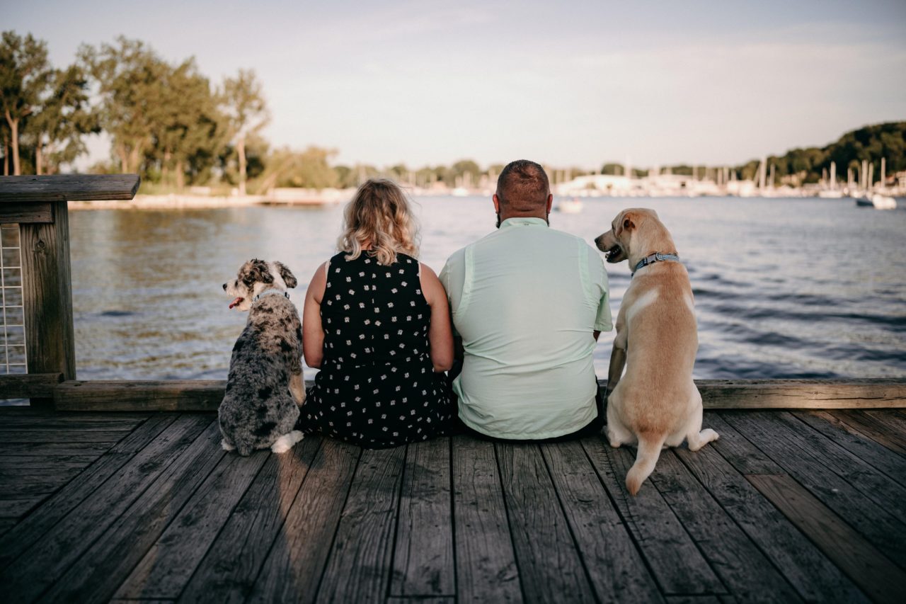 ways to include your pet in your wedding furry friends