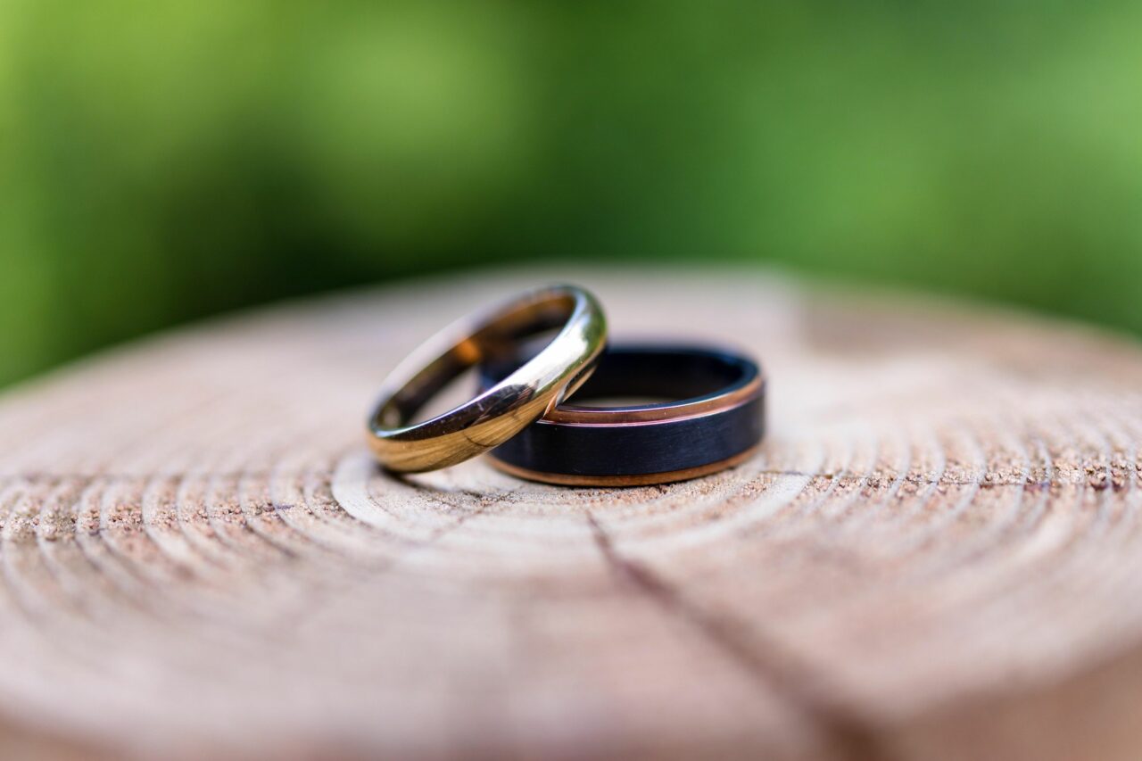Close-Up of Two Rings on a Log