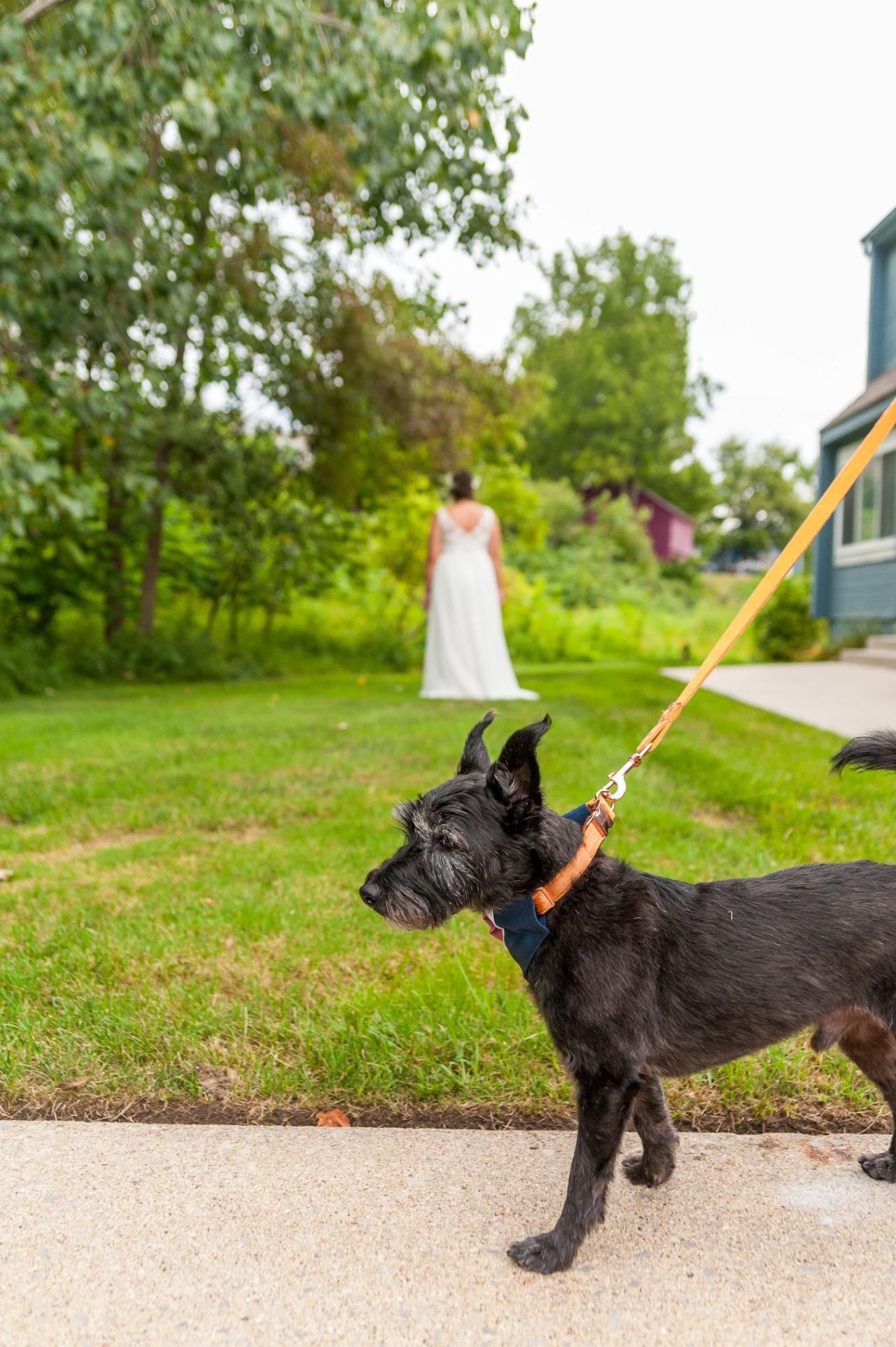 ways to include your pet in your wedding