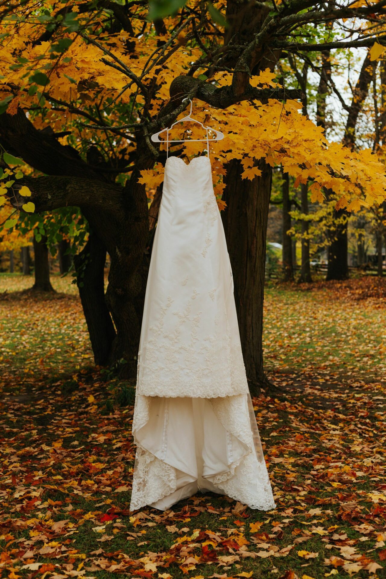 White dress hung on an Autumn tree