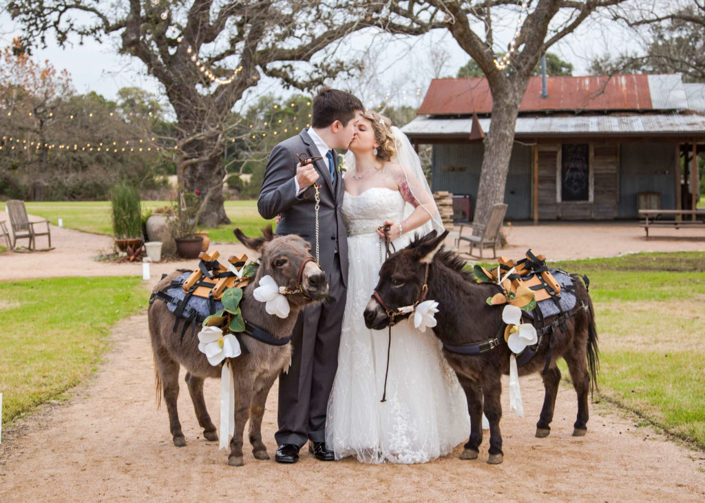 Houston Wedding Dog Photo
