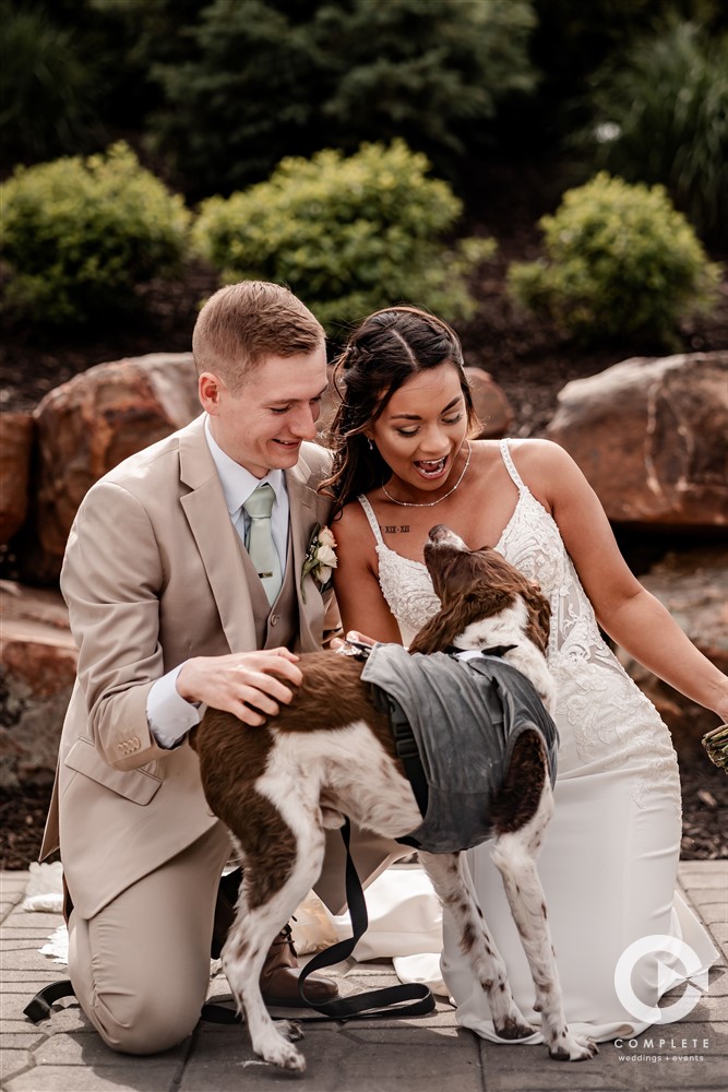 dogs in weddings