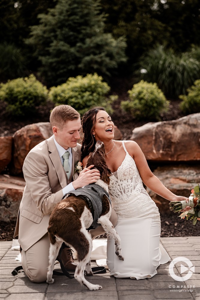 wedding photos with dogs