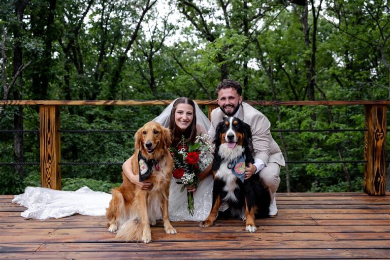 Bride and groom kneel on a wooden deck with a golden retriever and a Bernese mountain dog in bandanas at a Blue Springs, Missouri wedding