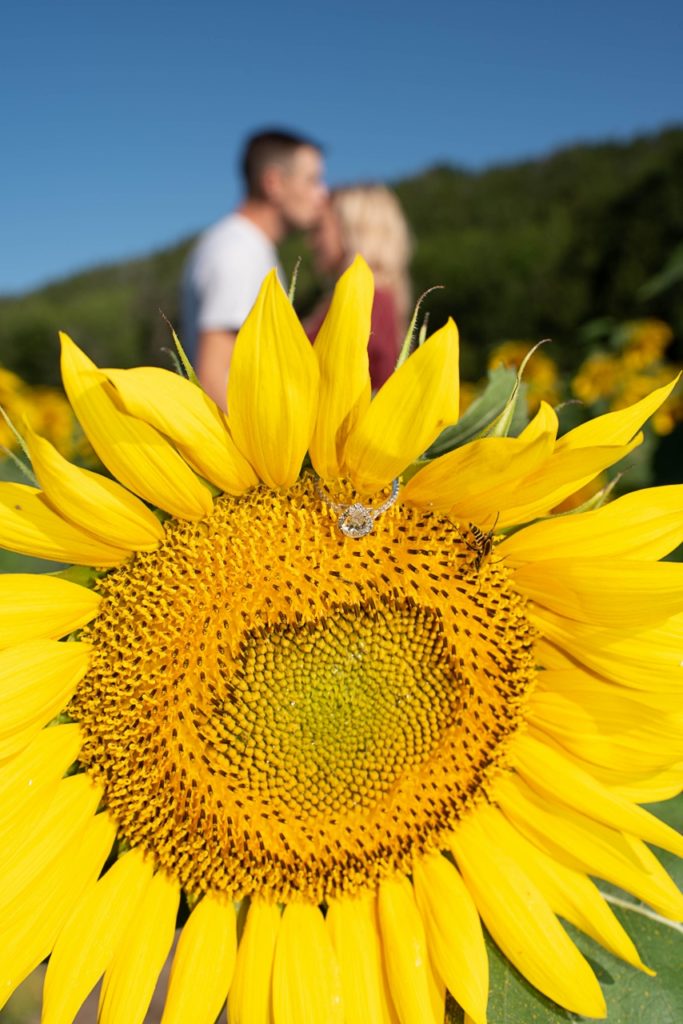 Kansas Engagement Pictures