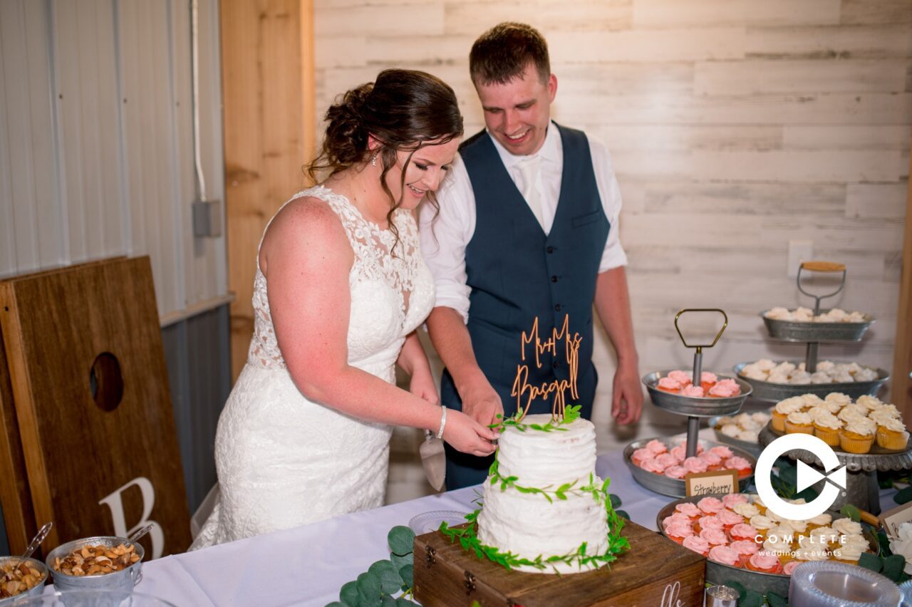 Cake Cutting