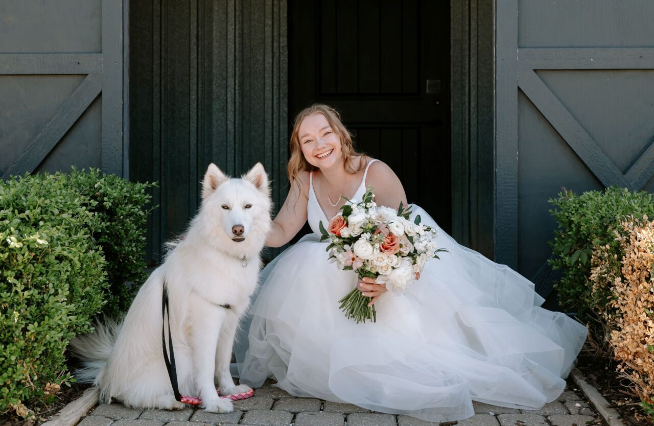 Wedding Husky