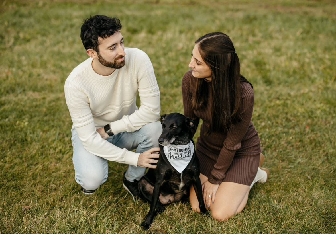 How To Include Furry Friends Into Your Wedding