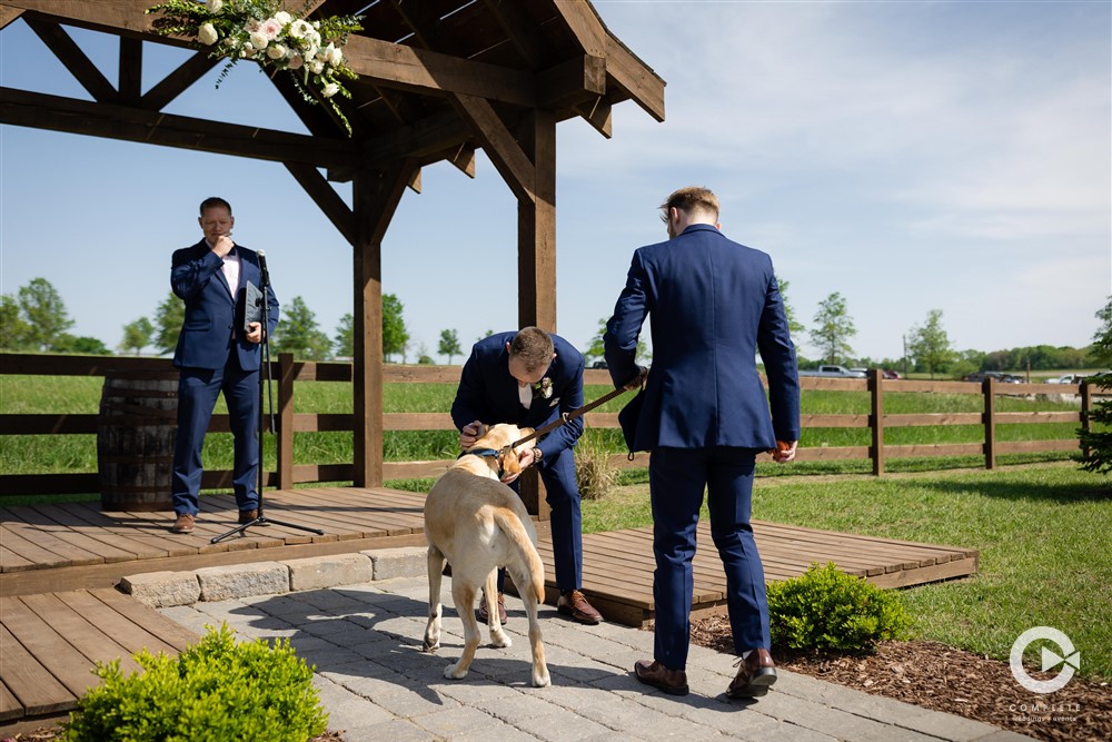 Groom and Dog at Wedding Ceremony