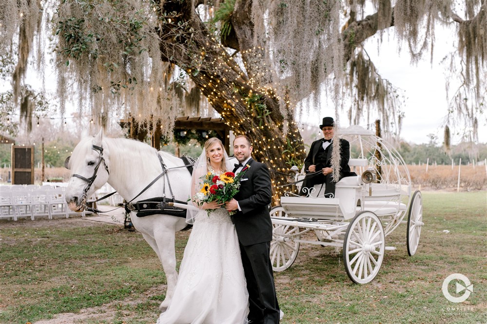 Essential Questions for Wedding Photographers
