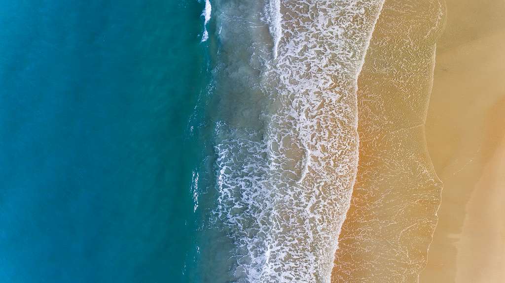 Why Melbourne Florida is Perfect for Your Wedding