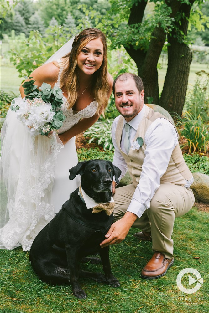 Wedding Party Pets