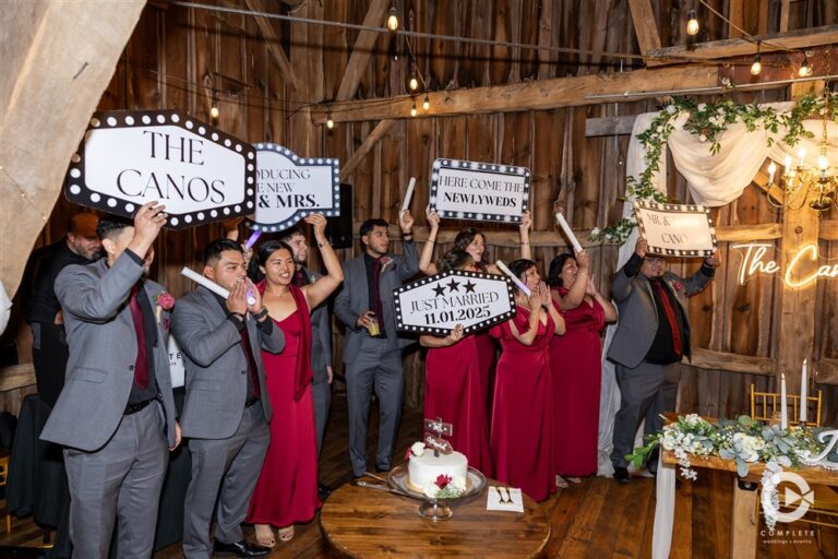 Wedding party reception fun