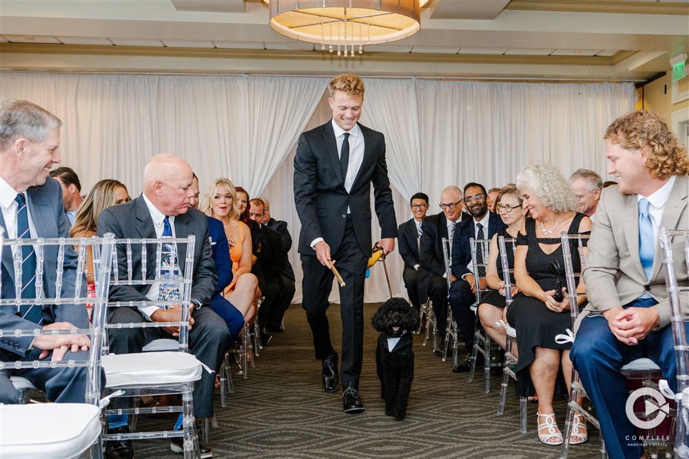 dog walking down the aisle during wedding ceremony